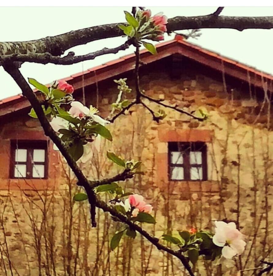 La Posada De Maria Villanueva de la Pena Exterior photo